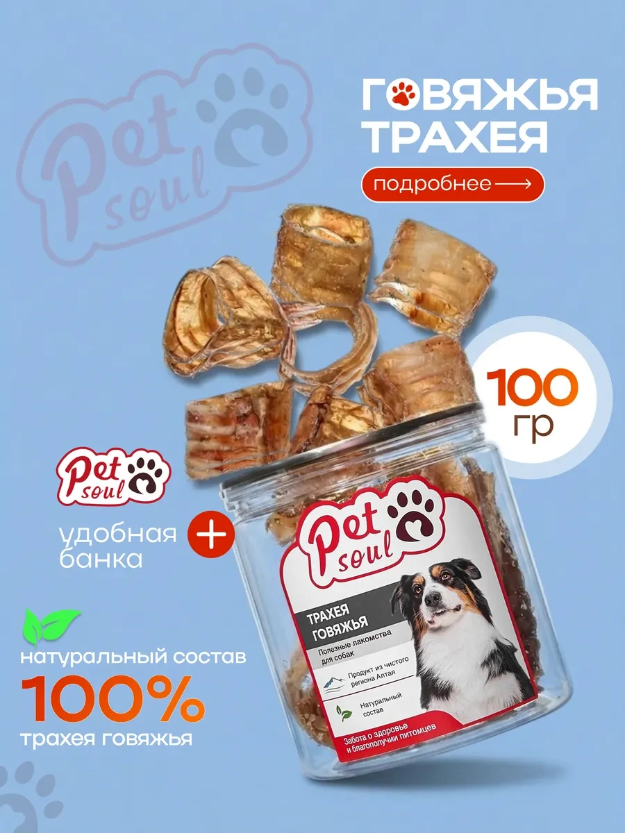 ⚡️ Кольца трахеи, PetSoul