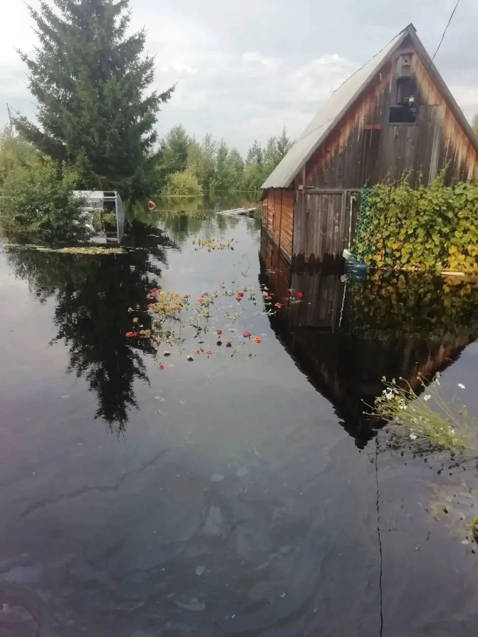 Деревня Малые Акиры (дачи)