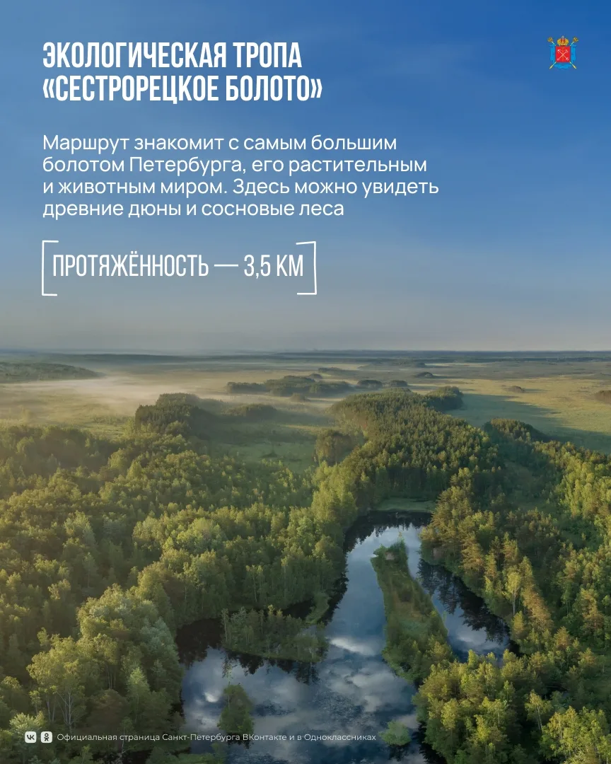 Экологические тропы Петербурга — отличный способ познакомиться с природой города и открыть для себя 