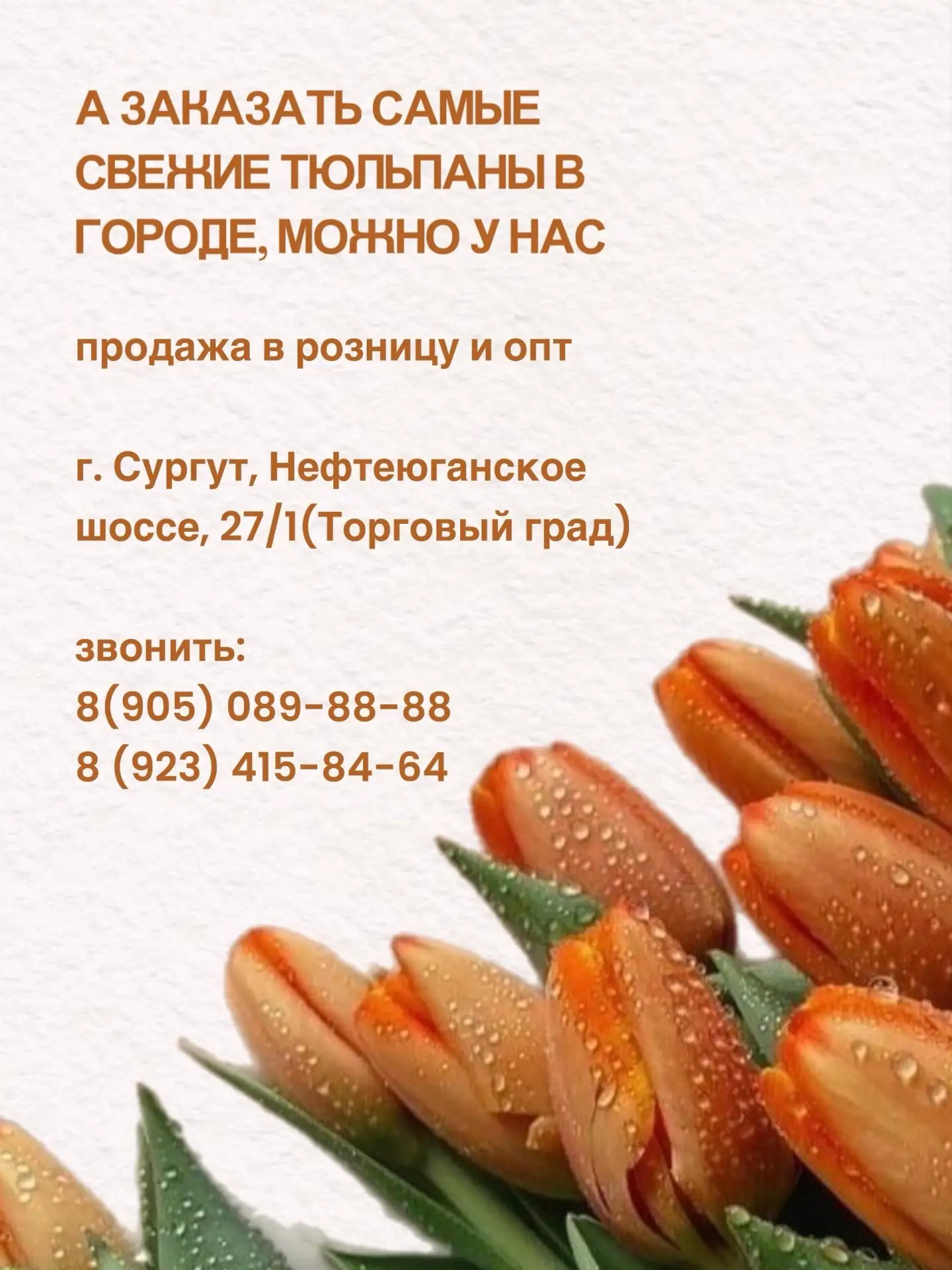 ТЮЛЬПАНЫ ОПТ-РОЗНИЦА ⁣⁣⠀ ⁣⁣⠀ 📍СУРГУТ/НИЖНЕВАРТОВСК⁣⁣⠀ ⁣⁣⠀ ⁣⁣⠀ > Тюльпаны премиум сортов⁣⁣⠀ > ОПТОВАЯ