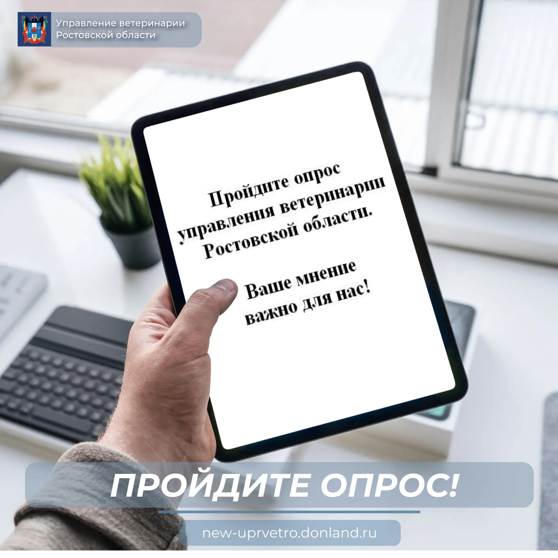 Друзья, ваше мнение очень важно для нас!