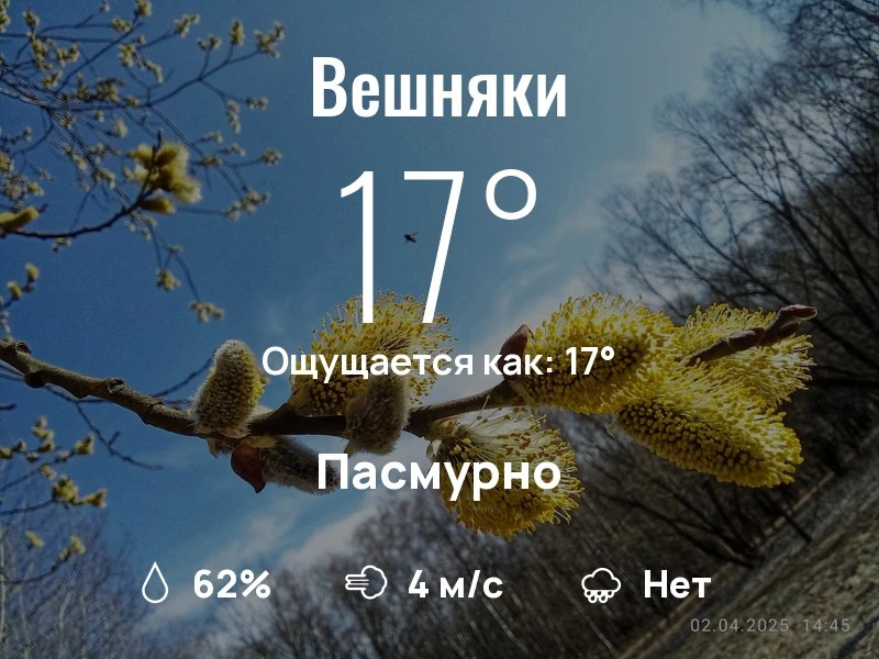 Что с погодой в Вешняках?