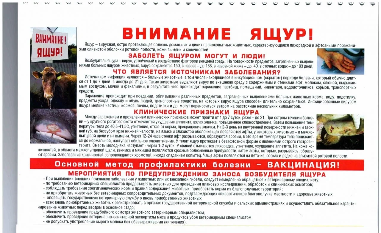 ‼️ПАМЯТКА ДЛЯ НАСЕЛЕНИЯ ‼️
