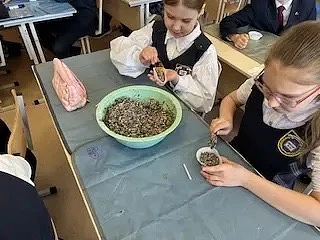 📢 Экологическая акция "Покормите птиц"🐦‍⬛🐦‍⬛🐦‍⬛  Ранняя весна 🌿— время непростое: * сугробы ещё не р