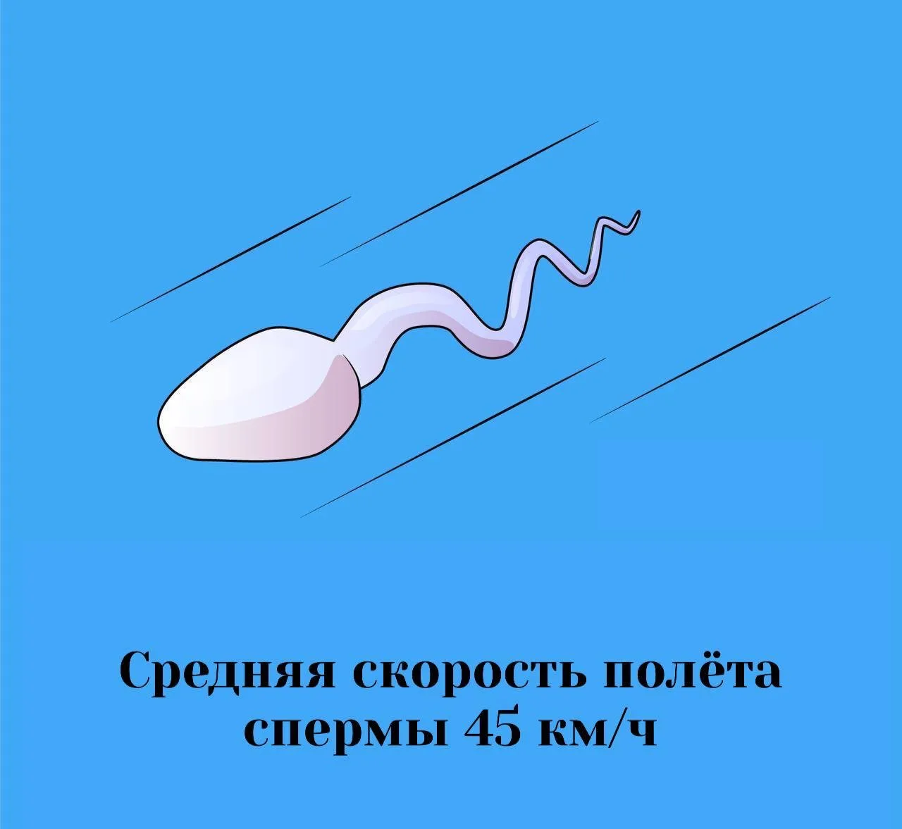 Сексология