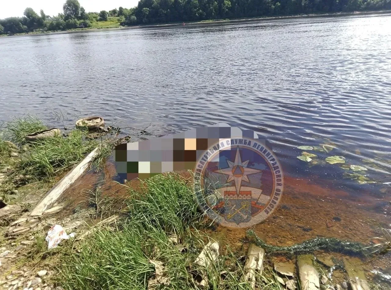 14 июня в Аварийно-спасательную службу Ленобласти поступило сообщение о том, что в реке Волхов в гор
