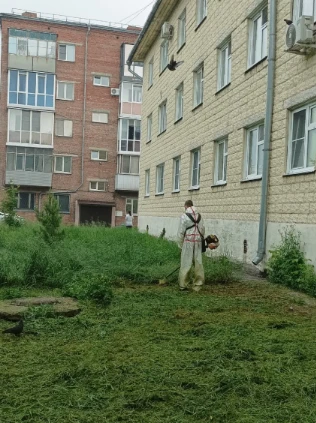 Здравствуйте уважаемые жители города. Работы по кошению травы не прекращаются. Сегодня уже скосили т