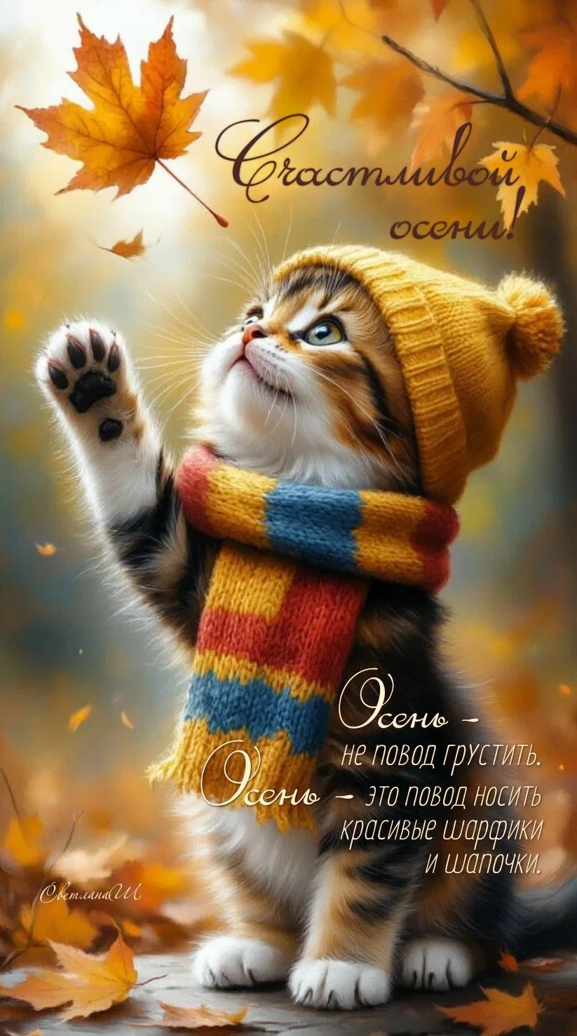 Счастливые открытки 💌