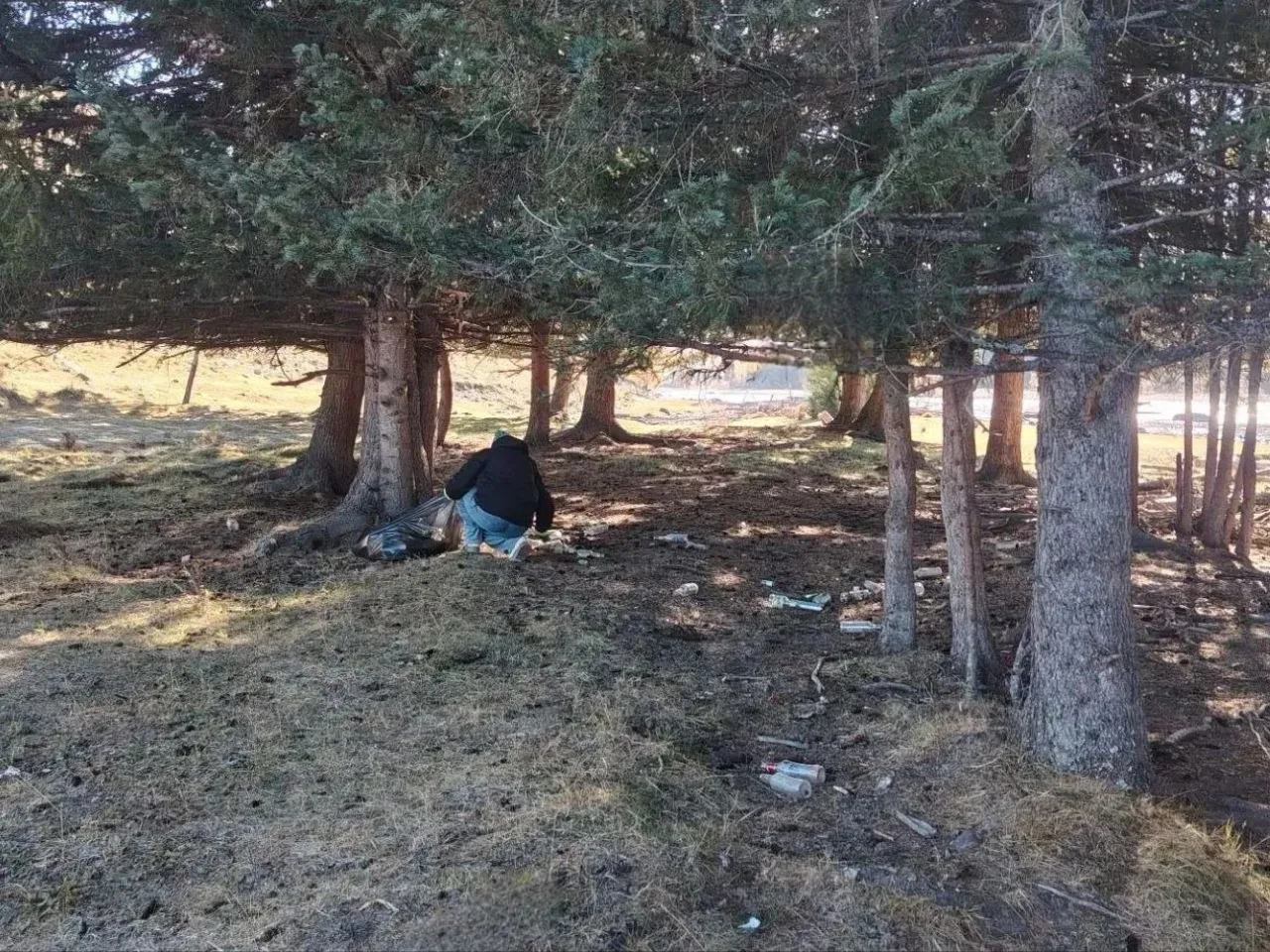 В Улаганском районе очистили берега рек Башкаус и Большой Улаган, а также привели в пор...