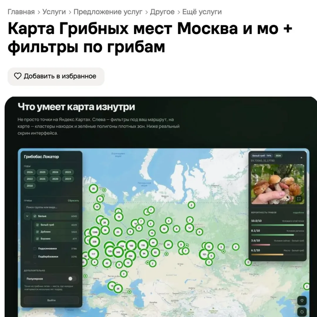 🍄‍🟫 В России начали торговать координатами грибных и рыбных мест