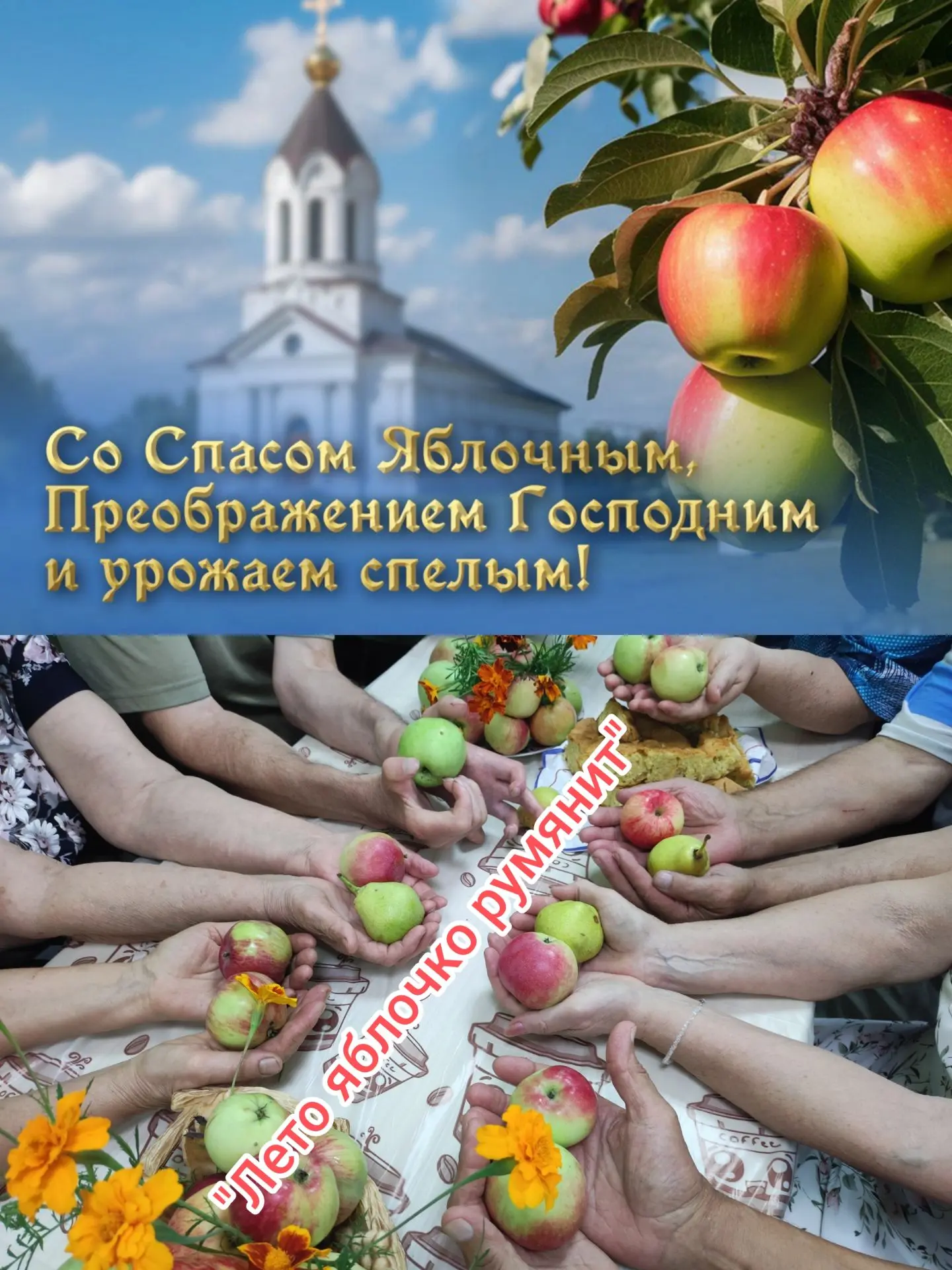 Лето яблочко румянит.