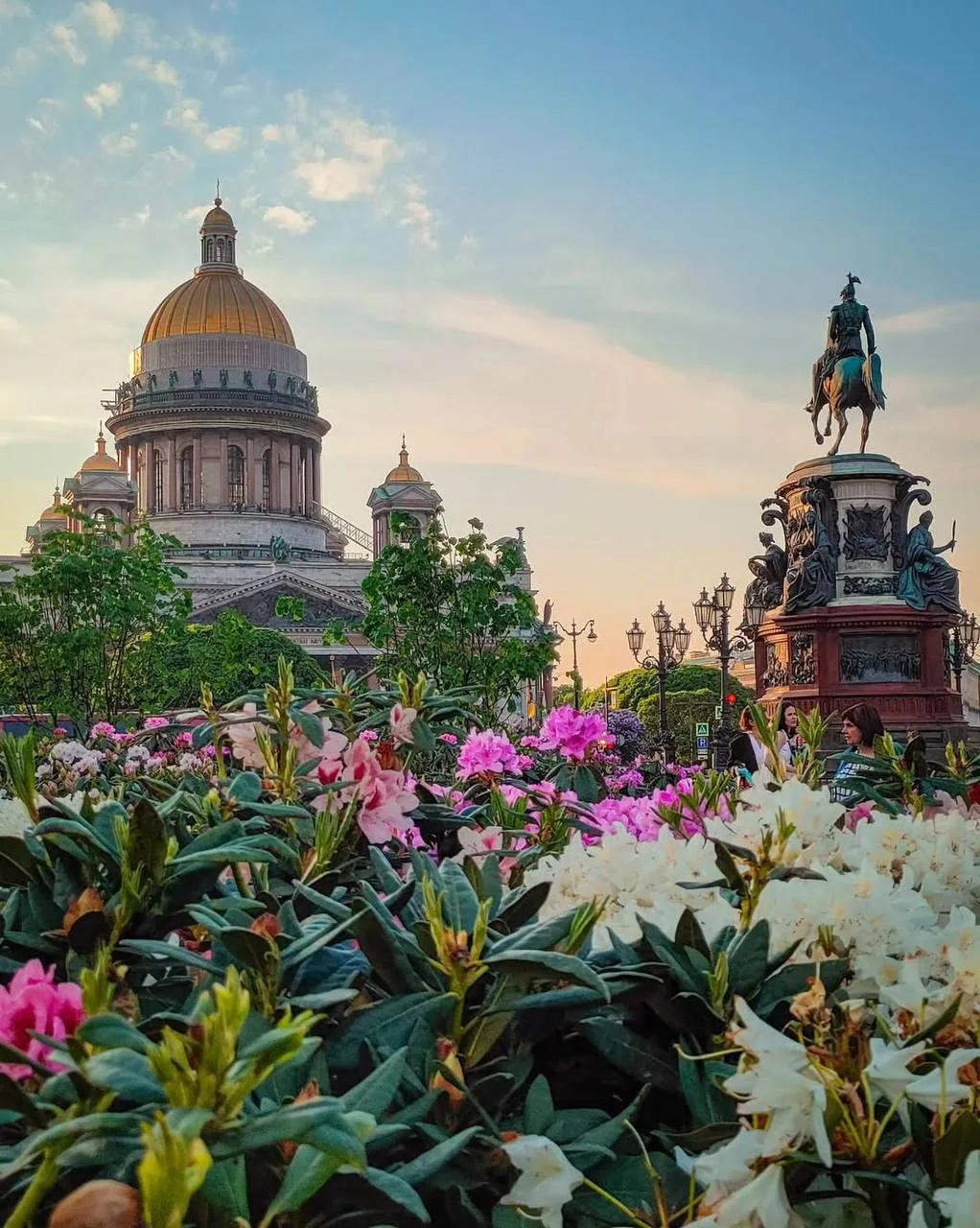 💐 В этом сезоне Исаакиевская площадь вновь расцветёт садом-трансформером  Ландшафт украсят пышная кр