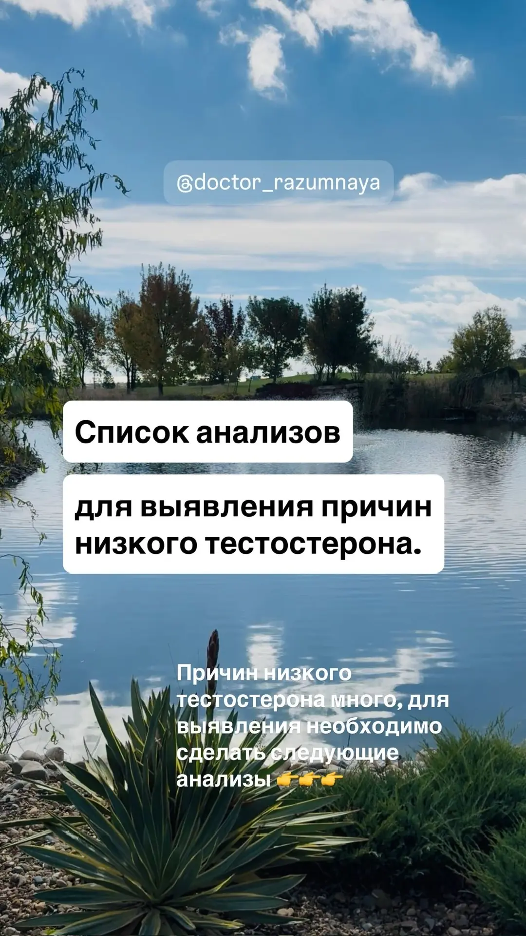 💥 Список анализов для выявления дефицита тестостерона.  Если у вас есть дефицит тестостерона, то вы 