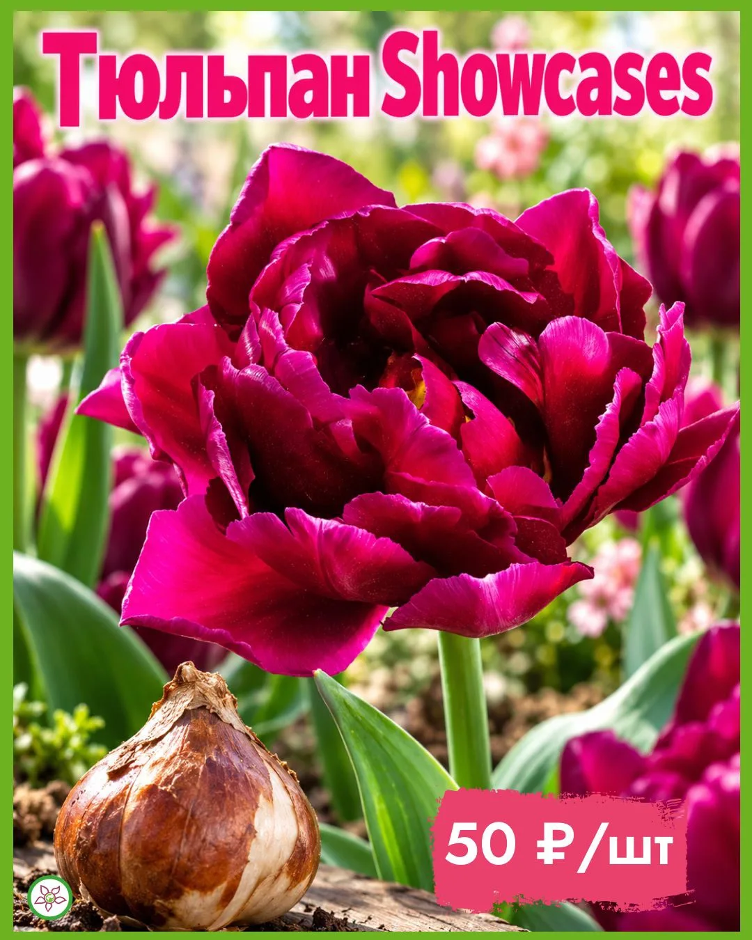 🌸 Весенняя клумба начинается сейчас!