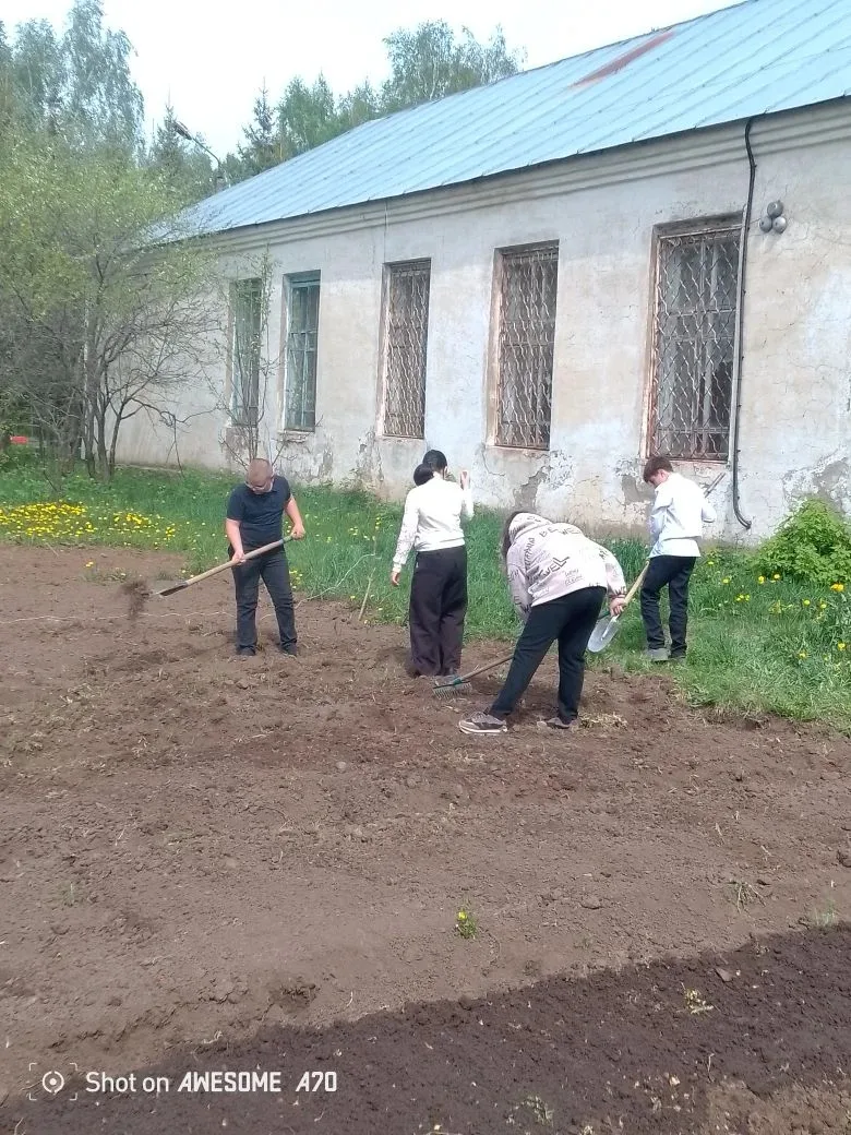 На школьной территории, среди привычных стен и парт, раскинулся особый учебный кабинет — школьный ог