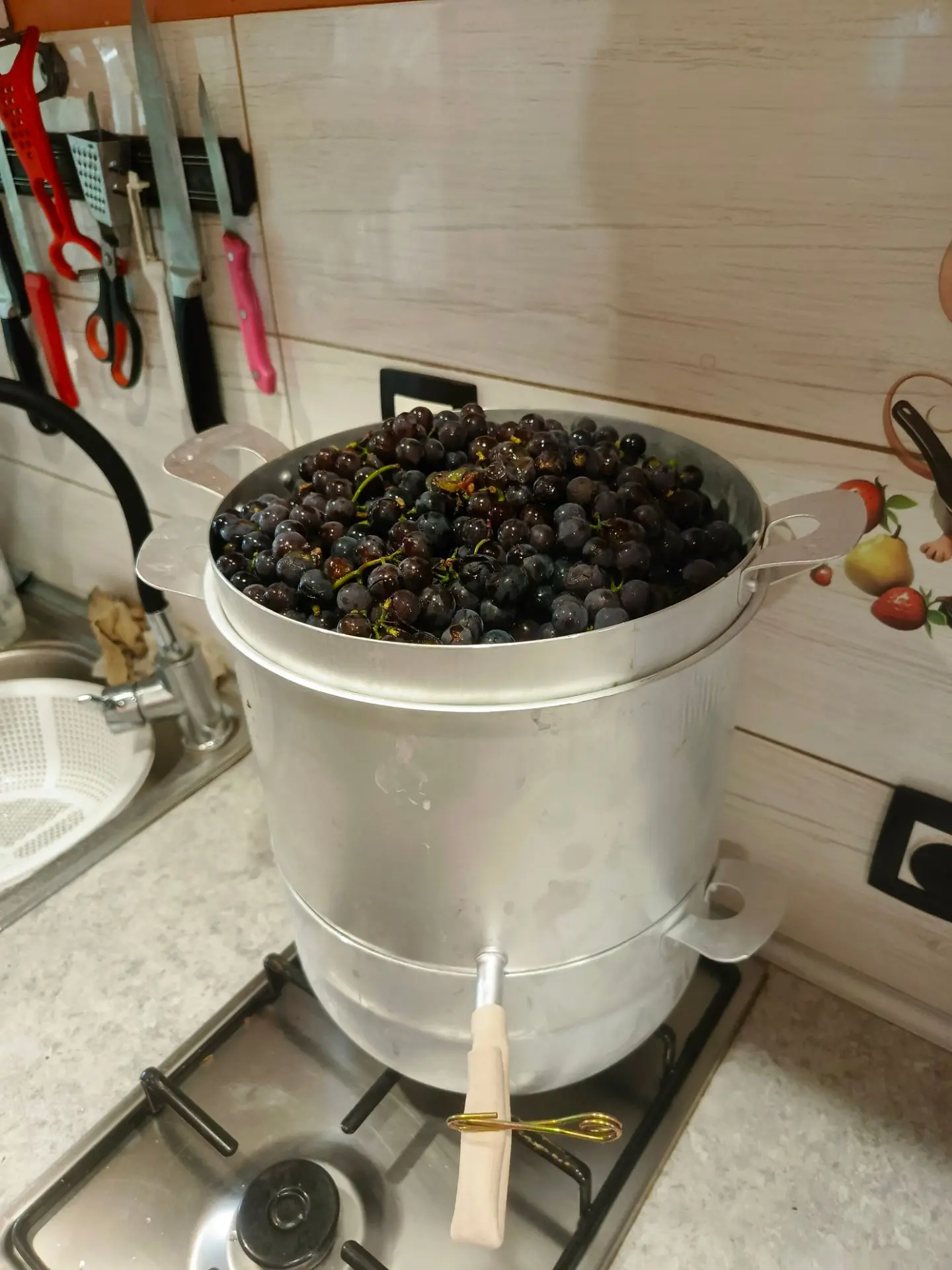 Поставлю сейчас виноградный 🍇 сок вариться. Первый раз. Потом покажу и расскажу как он
