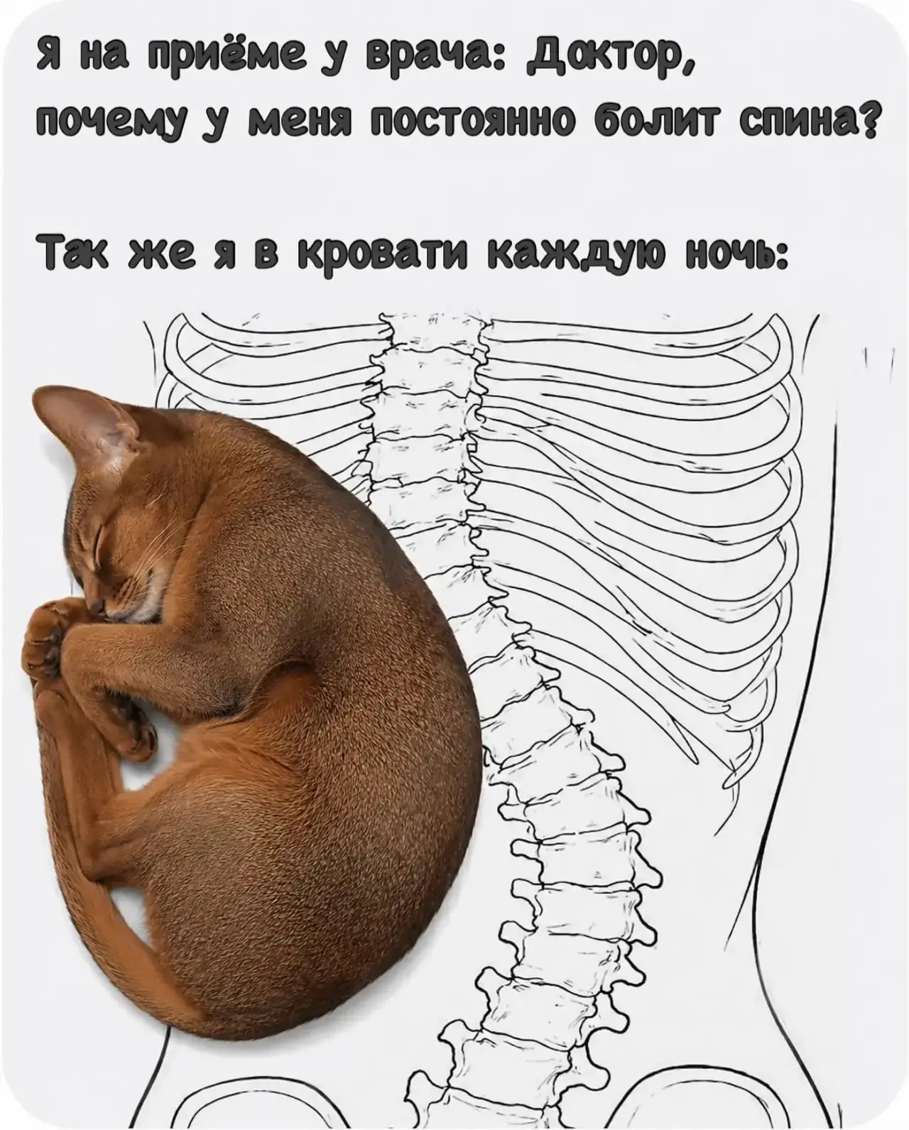 Держи джакузи от Кузи