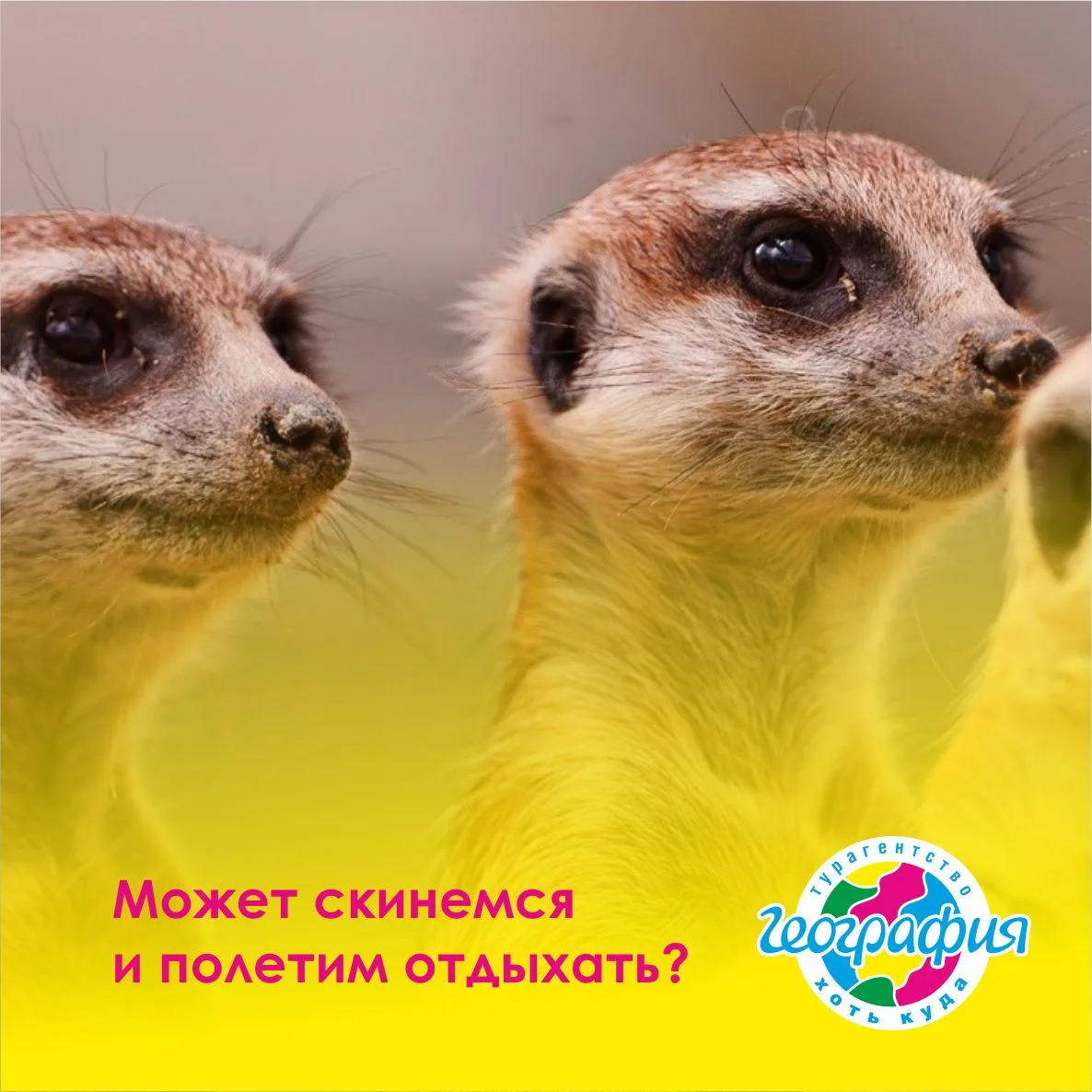 Дайджест предложений с ближайшими вылетами из Екатеринбурга!