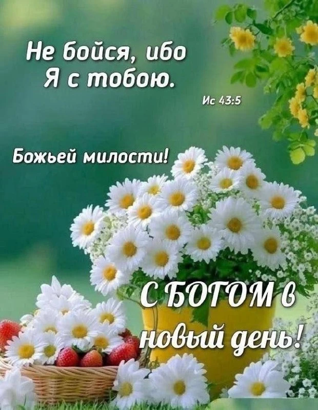 ❤️❤️❤️❤️Открытки❤️❤️❤️❤️