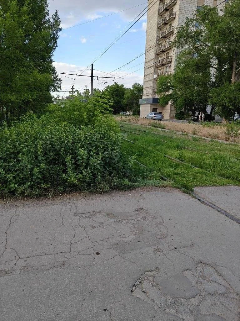 Ул.Королева вся в зарослях, сплошные джунгли. При заезде во двор и выезде на саму Королёва,ни трамва