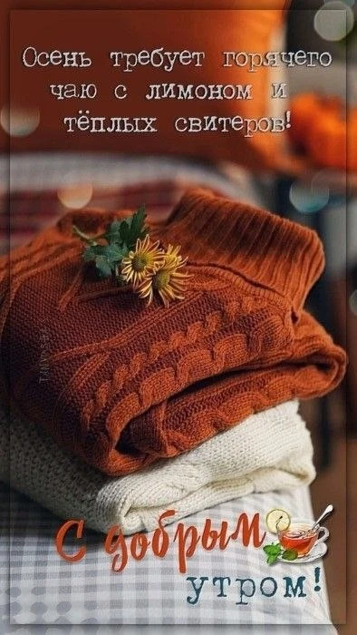🥰 Оставляйте реакции, если понравилась открытка и делитесь с близкими ❤️