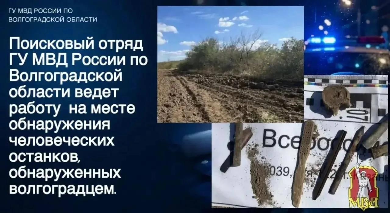 Изображение 1 к публикации «Волгоград 360°»