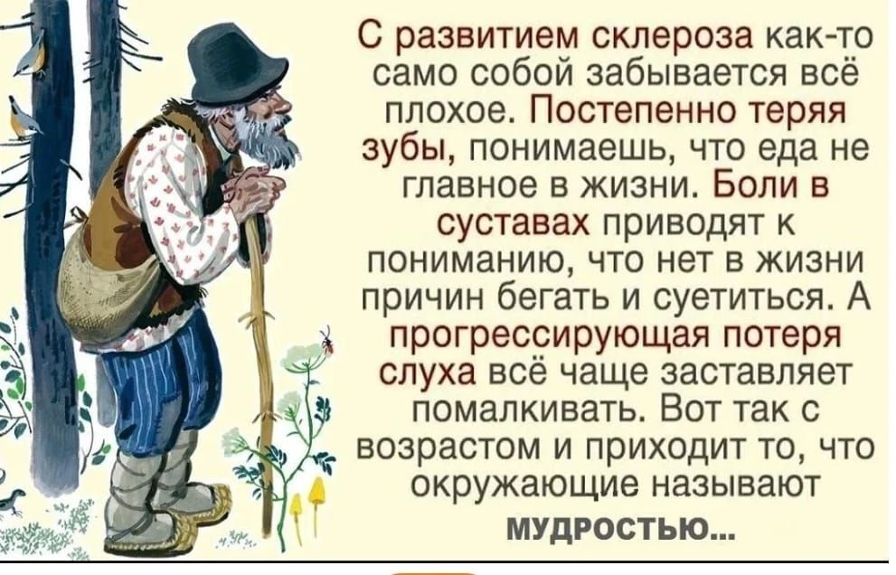 Вот она настоящая мудрость ❤️