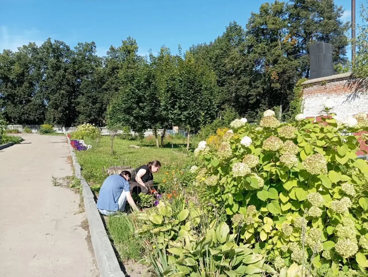 📌 летняя практика