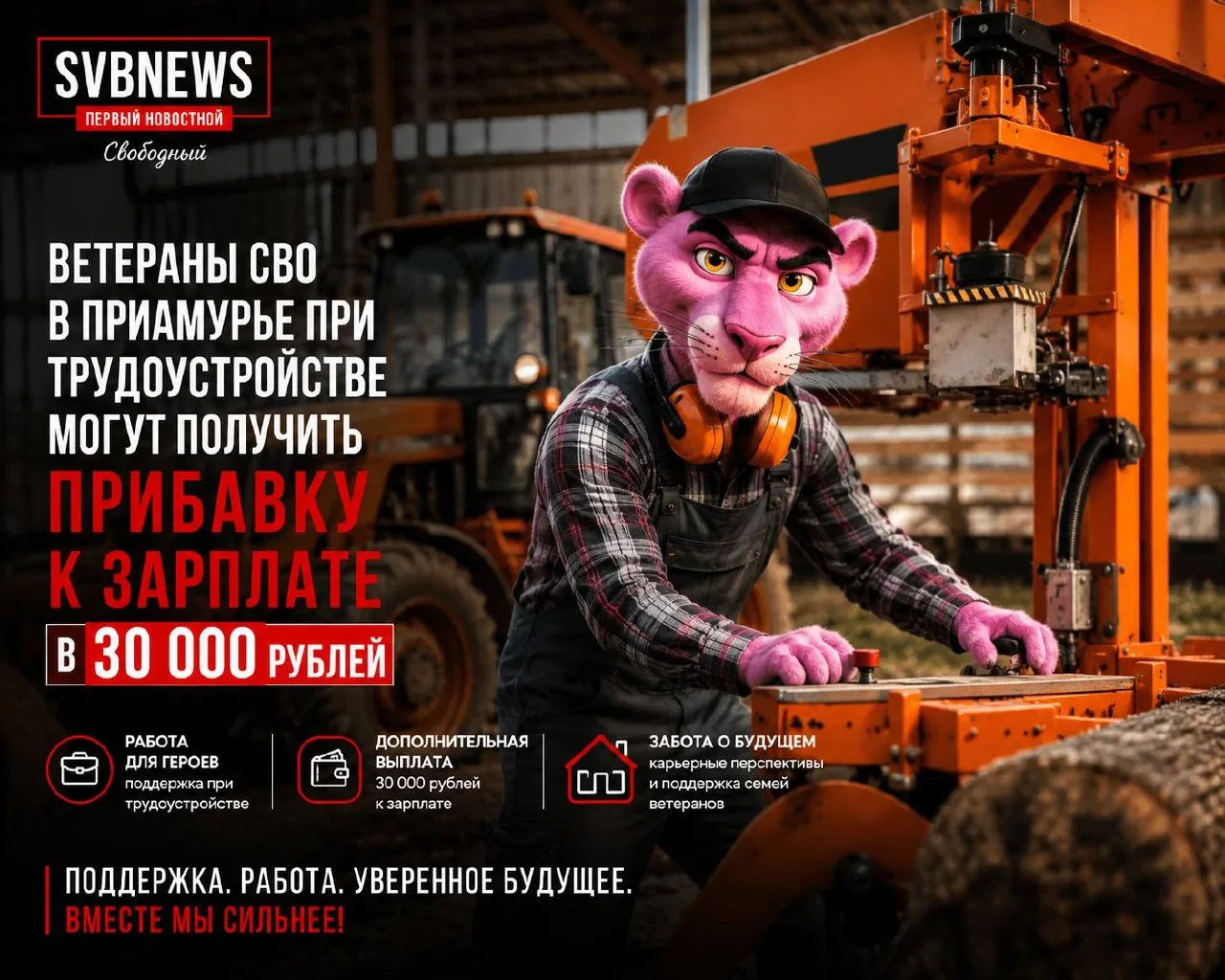 Ветераны СВО в Приамурье могут получать дополнительно 30 тысяч рублей к заработной плате

В Амурской