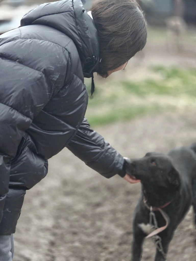 🐾 А сегодня — настоящий праздник души!  Волонтёры отряда «Добро 22» отправились в гости в приют «Пре