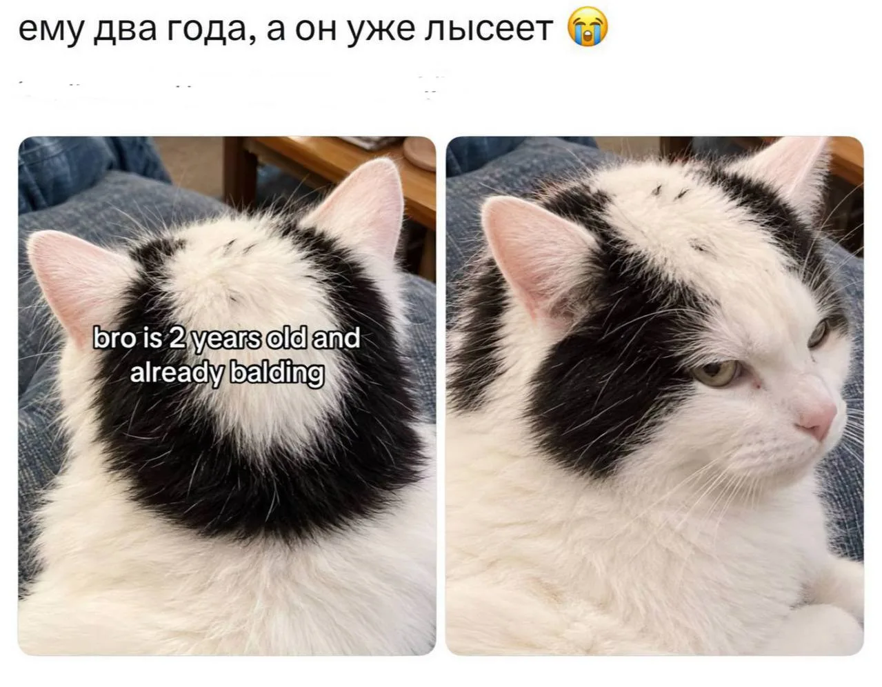 Любой нормальный мужик после 30