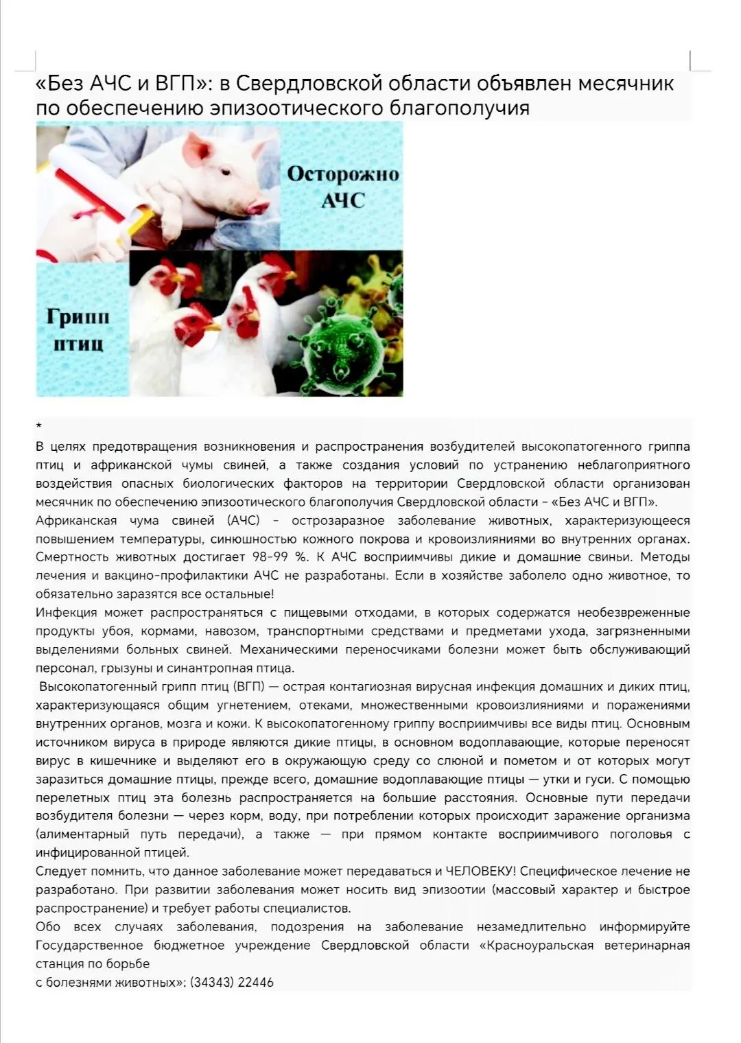 Медиа публикации
