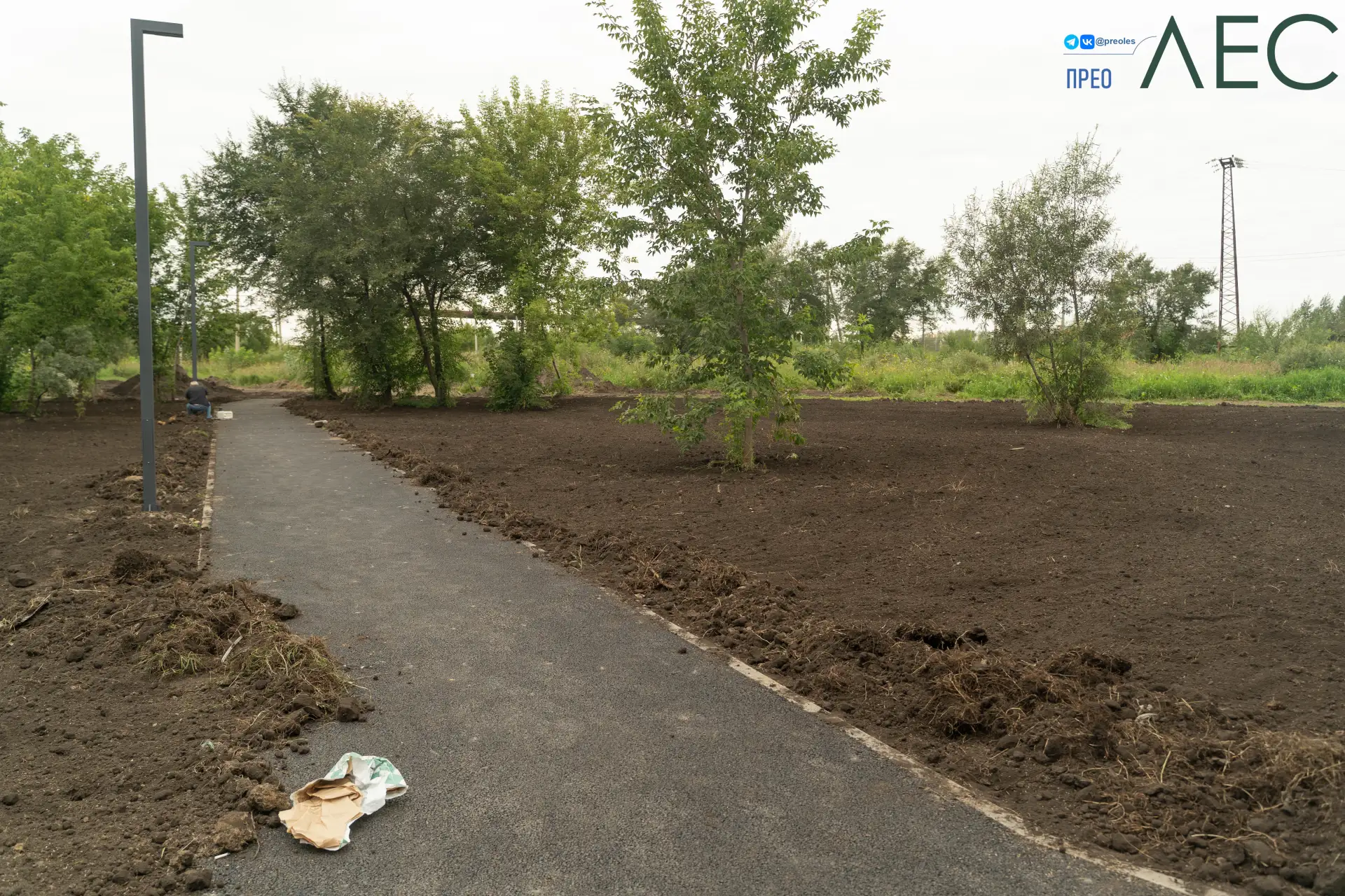 Порядка 4000 м² газона посеяно в Преолесу.