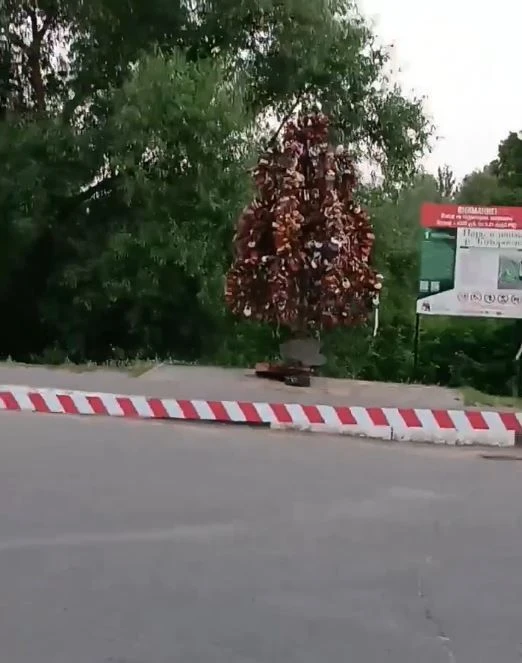 На Даманском острове под "замочным" деревом обнаружили подозрительную коробку!

Территорию оцепили.

