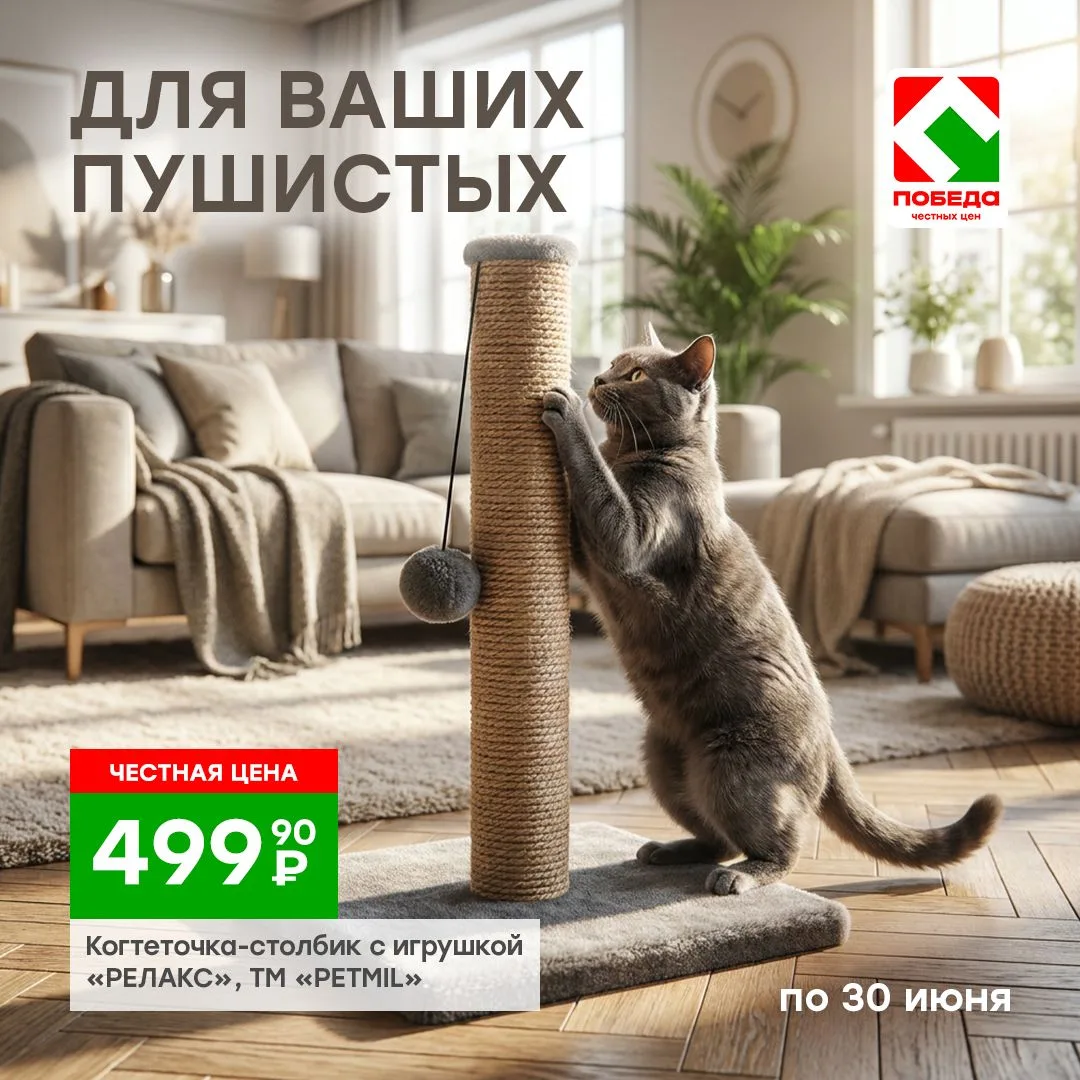 Ваша мебель снова в опасности? 😼 
Коты — мастера спорта по уничтожению диванов, но у нас есть решен