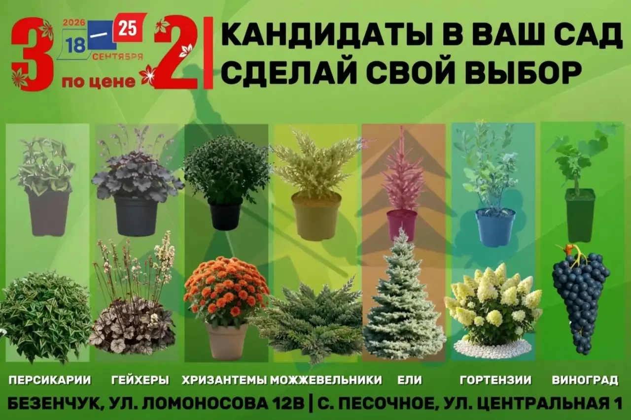 ГРАНДИОЗНАЯ РАСПРОДАЖА РАСТЕНИЙ В БЕЗЕНЧУКЕ: 3 ПО ЦЕНЕ 2 😱🔥