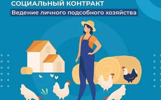 Социальные контракты на ведение личного подсобного хозяйства заключаются в органах соци...