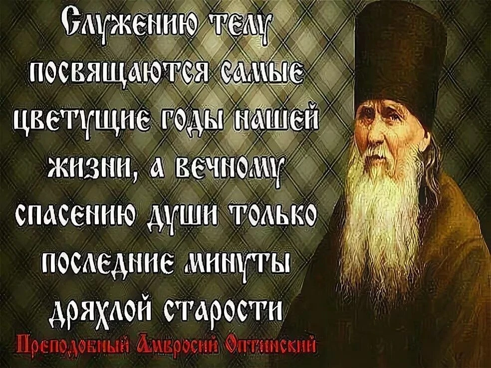 ⚜🌱⚜🌱⚜🌱⚜🌱⚜