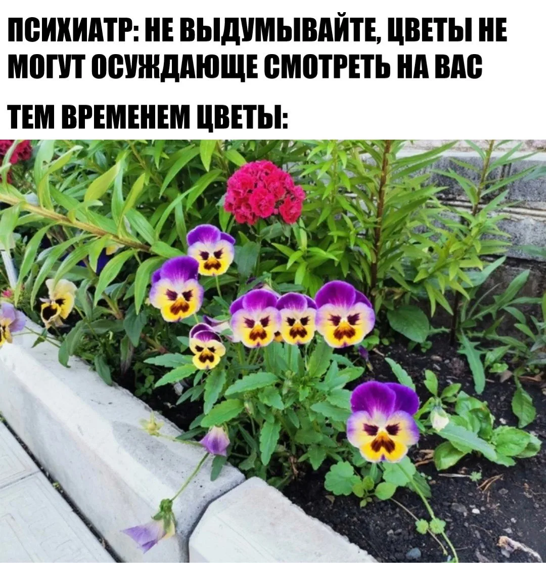 15 августа в творческой лаборатории «Угол» пройдет фестиваль «Цветы и повседневность».

В программу 