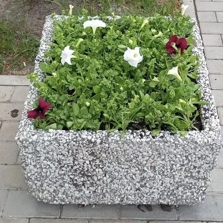 🌺 Красота на всех адресах! Берегите её, пожалуйста