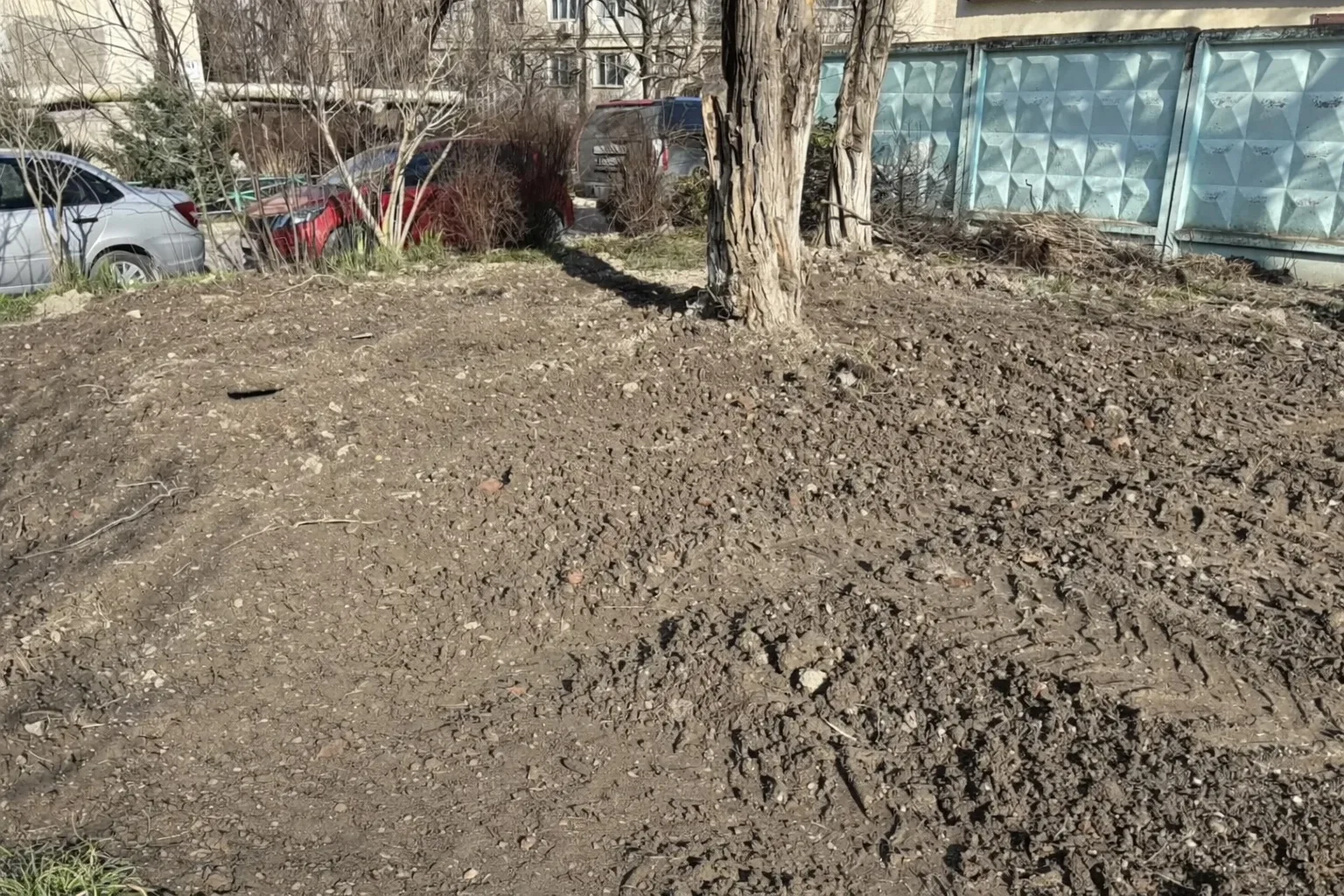#обратнаясвязь