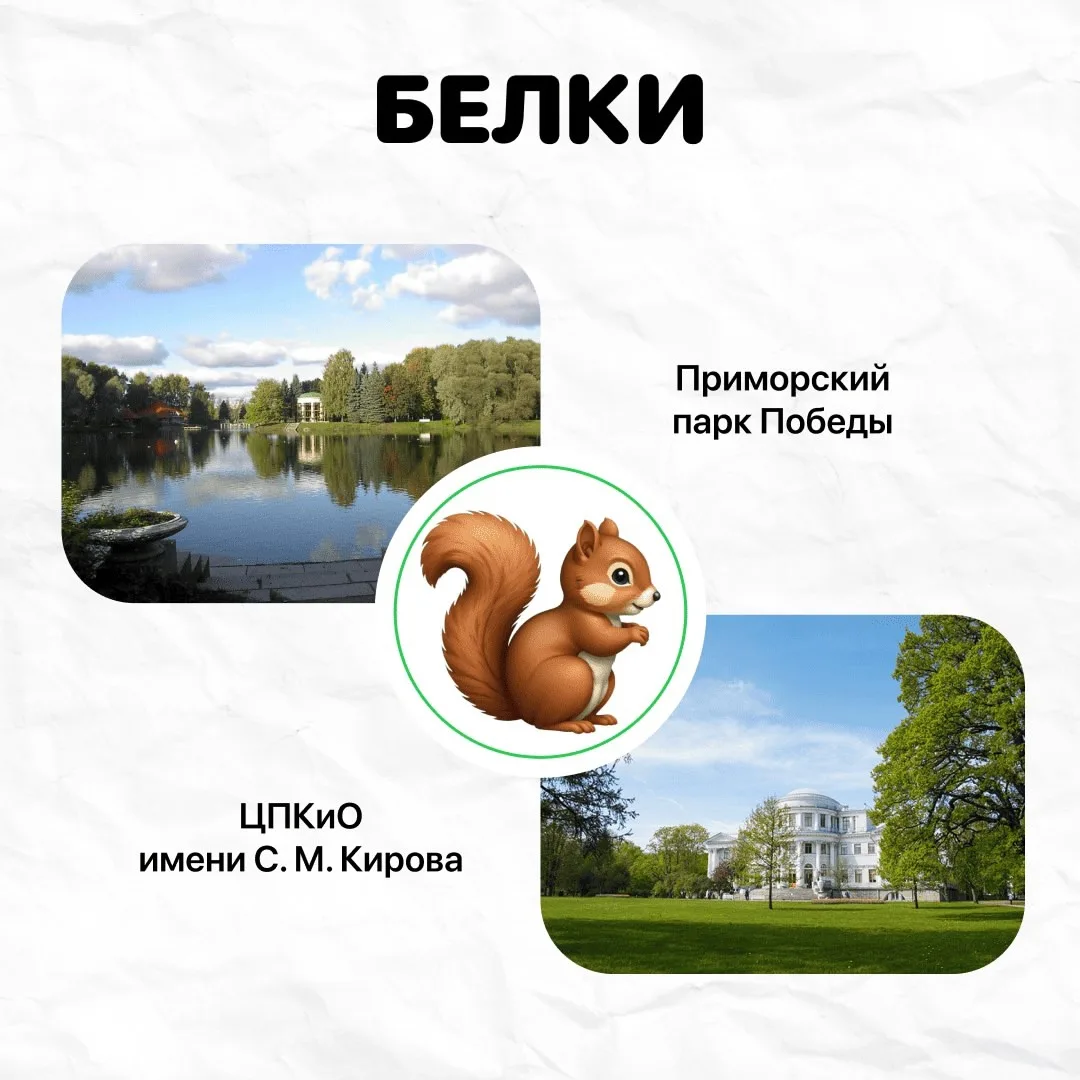Как поддержать интерес ребёнка к окружающему миру?