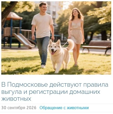Медиа публикации
