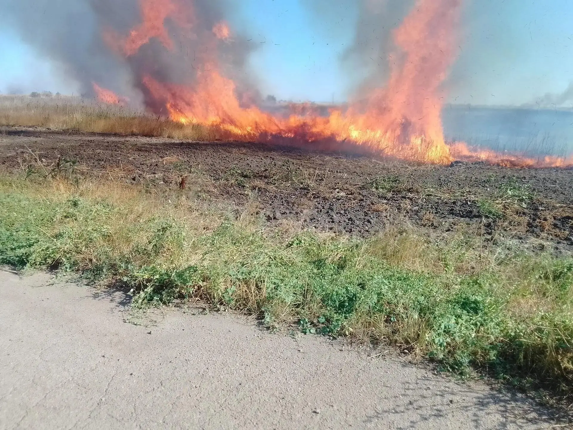 🔥 Огонь остановили в шаге от леса
