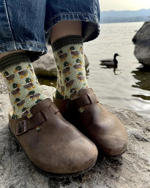 Bird Lovers sock set by Stone Knits
                                                                
