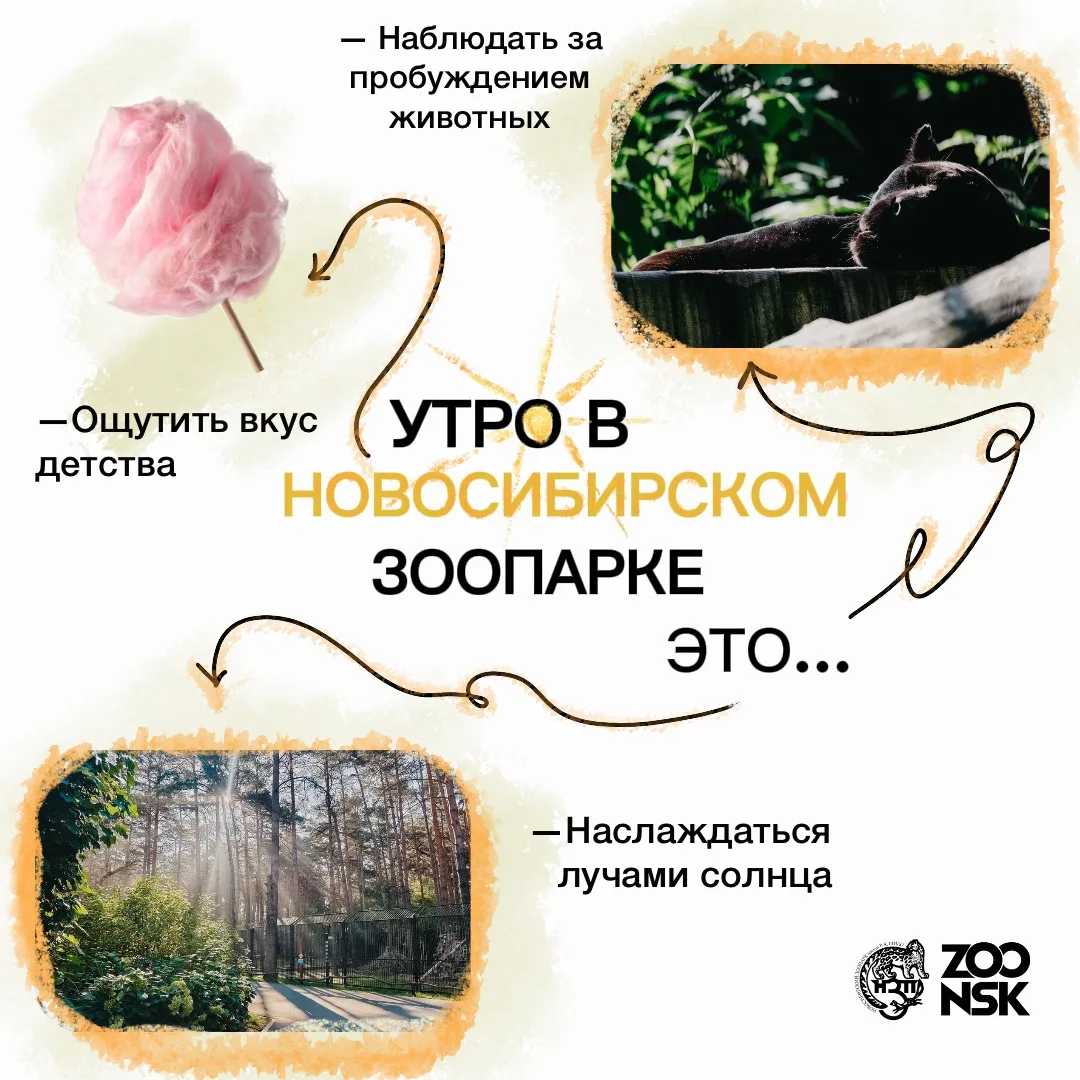 🌞 Утро в зоопарке — лучшее время для прогулки.

Начните день с приятных впечатлений и зарядитесь хо