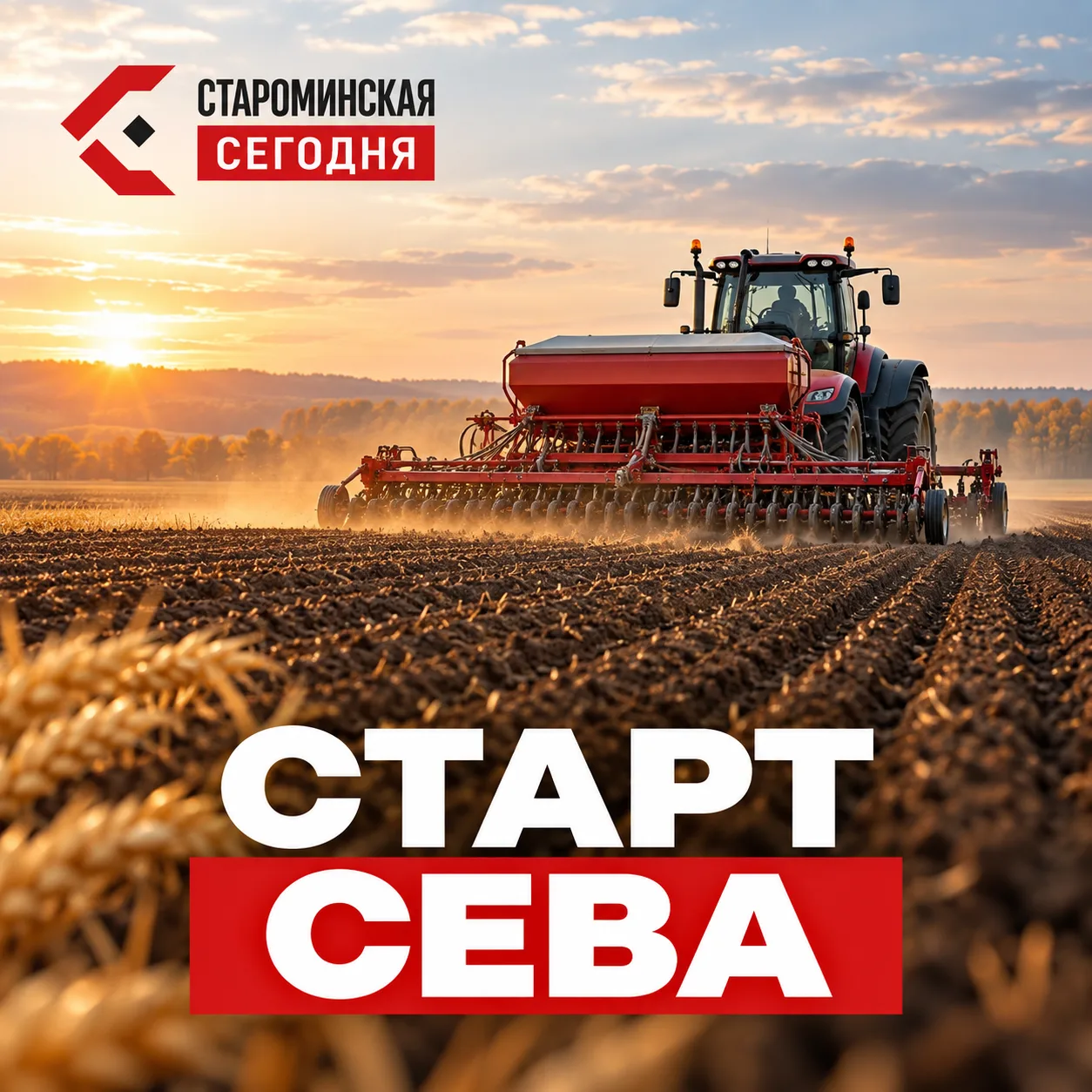 🌾 На Кубани стартовал сев озимых под урожай 2027 года