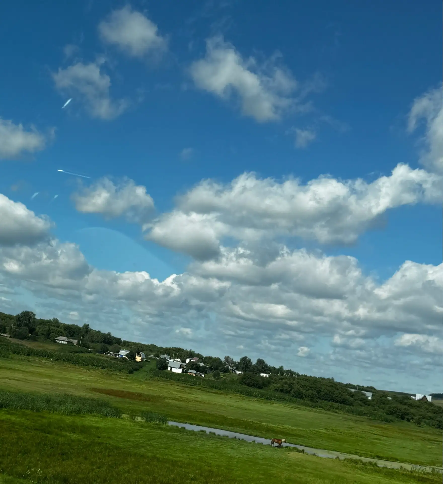 #дорога красота 🐎 🏡 🌊