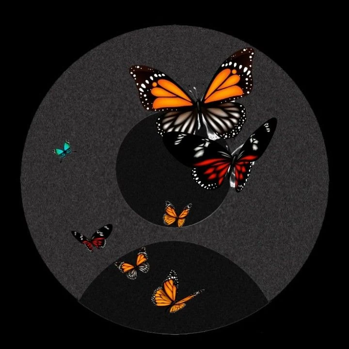 Butterfly aesthetic 🦋