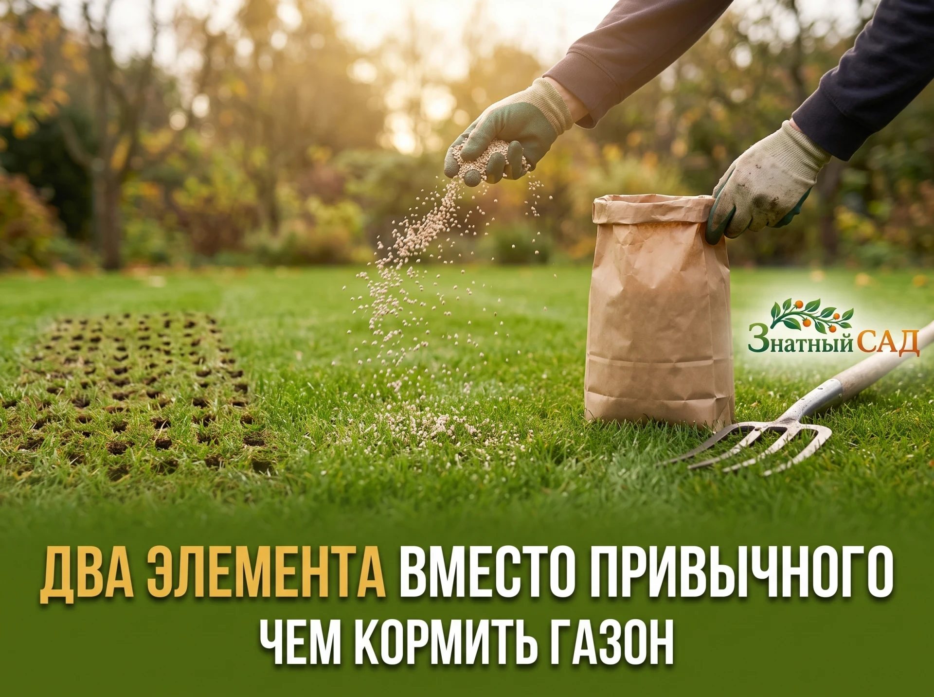 🌿 ГАЗОНУ ОСЕНЬЮ НУЖЕН КАЛИЙ, А НЕ АЗОТ